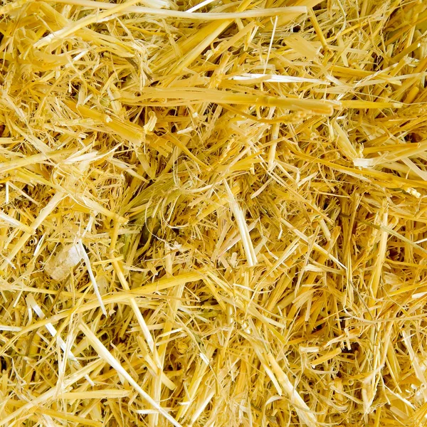 Сухая желтая соломенная трава текстура после хавеста — стоковое фото