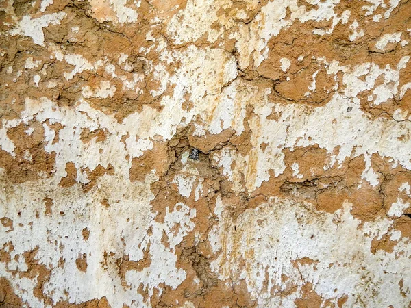 Old clay plaster, cracked on the wall. Deep cracks and beautiful texture.