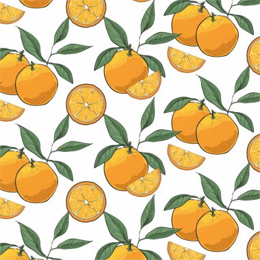 Beyaz arka plan üzerinde çizilmiş portakal dilimleri izole el desen... Vektör çizim