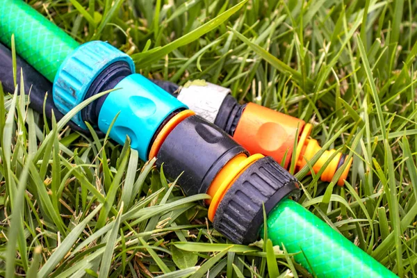 Yeşil çim arka plan üzerinde çim sulama için hortum. Sulama sisteminde iki hortum bağlantısı. Hortum bağlantı sistemi. Tarım kavramı