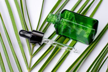 Yeşil bitkisel yapraklı kozmetik şişe kapları, markalaşma için boş etiket, doğal güzellik ürünü konsepti.