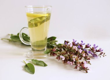 Adaçayı çay ve adaçayı yaprakları. İnfüzyon adaçayı yaprakları yapılmış. Tıbbi bitki Ada çayı. Sağlıklı beslenme kavramı.