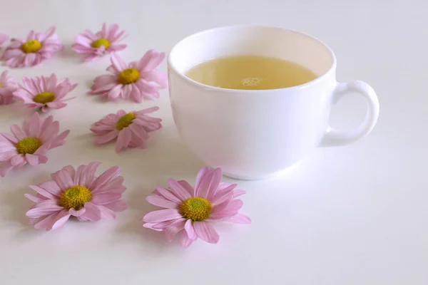 Romantischer Hintergrund Mit Einer Tasse Kaffee Mit Rosa Leucanthemenblüten Über — Stockfoto