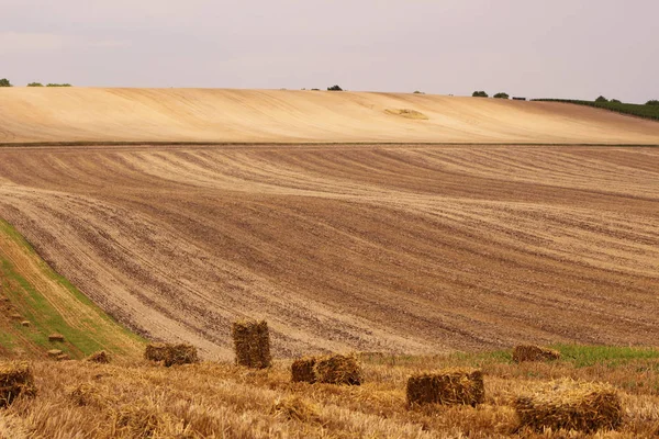 Campos rodantes de Moravia, República Checa. Hermoso paisaje . —  Fotos de Stock