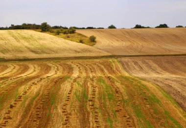 Moravia, Çek Republic.Beautiful peyzaj alanlarında haddeleme. Güzel yaz toprakları.