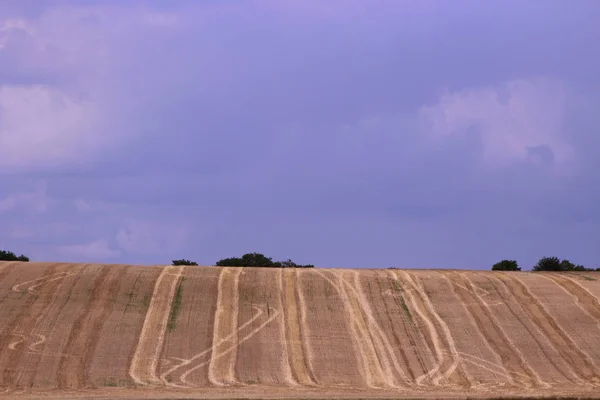 捷克摩拉维拉的滚动场. 美丽的风景。美丽的夏天土地. — 图库照片