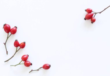 Kuşburnu çilek beyaz arka plan üzerinde izole. Düz yatıyordu desen. Üstten görünüm.