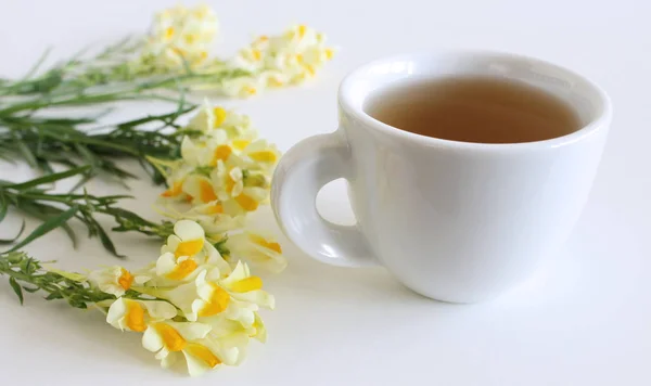 Blühender Gelber Fliegenpilz Linaria Vulgaris Und Tasse Tee Aus Nächster — Stockfoto