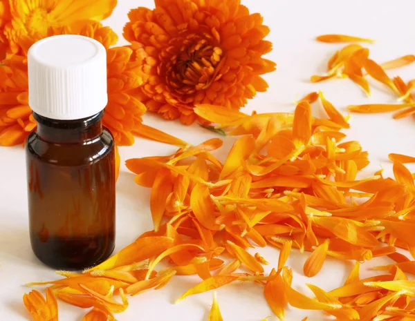 Closeup of organic oil with common marigold on a white background .Medicinal herb. Healthy concept. — Stock Photo, Image