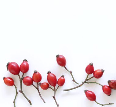 Kuşburnu çilek beyaz arka plan üzerinde izole. Düz yatıyordu desen. Üstten görünüm.