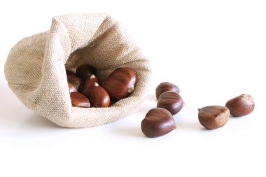 Taze kestane beyaz zemin üzerine çuval torba. Bu ad da ürettikleri yenilebilir deli eder. Sağlıklı ve mevsimlik gıda kavramı. Sonbahar dekorasyonları.