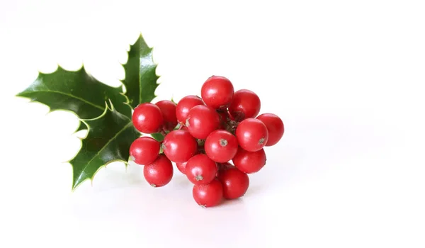 Vánoční holly s červenými třešněmi. Tradiční sváteční dekorace. Holly větev s červenými třešněmi v tabulky bílé pozadí. Pohled na ploché ležel, top. Rozmazané. — Stock fotografie