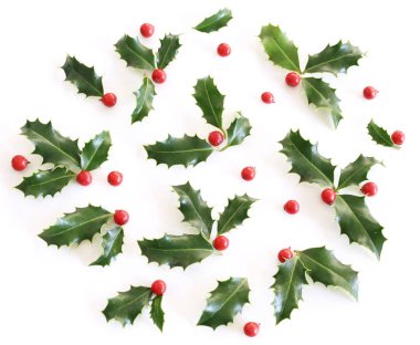 Noel holly çobanpüskülü aquifolium beyaz masa arka plan üzerinde izole. Evergreen kırmızı meyveler ile bırakır. Dekoratif çerçeve çiçek, web afiş. Düz yatıyordu, en iyi görünümü.