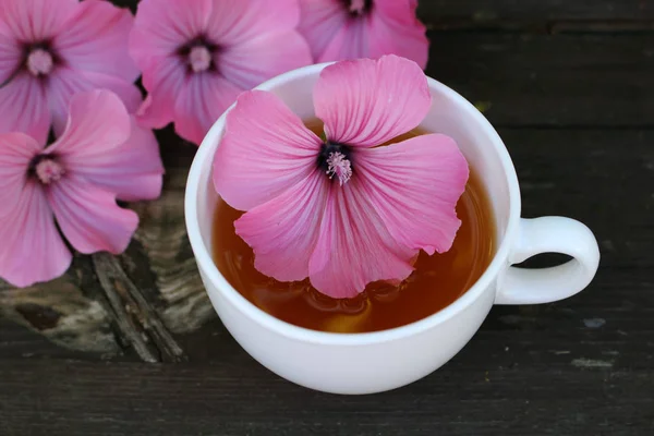 Tee Oder Ein Kalt Zubereitetes Mazerat Aus Blumen Malva Mauritiana — Stockfoto