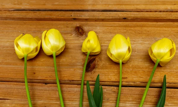 Top view of yellow tulips arranged in line over wood background. Spring greetings card with tulips for Easter, Mothers Day. Copy space.