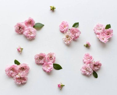 Küçük pembe güller Beyaz ahşap masa üzerinde. Nazik Romantik arka plan. Çiçek arka plan. Üstten görünüm, düz yatıyordu. Çiçekler, bahar, yaz konsepti. . Romantizm ve aşk kart kavramı. Metniniz için boş alanı.