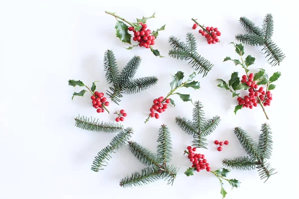 Vánoční Holly Ilex aquifolium je izolována na bílém stole. Stálezelené listy s červenými bobule. Dekorativní květinové rámy, webový nápis. Plochý, pohled shora. Prázdný prostor pro text svátků. — Stock fotografie