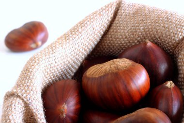 Taze kestane beyaz zemin üzerinde. İzole kestane küme. Bu ad da ürettikleri yenilebilir deli eder. Sağlıklı ve mevsimlik gıda kavramı. Sonbahar dekorasyonları.