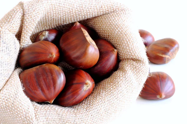 Castanhas frescas sobre um fundo branco. Conjunto isolado de castanhas. O nome também se refere às nozes comestíveis que produzem. Conceito de comida saudável e sazonal. Decorações de outono . — Fotografia de Stock