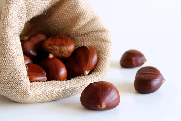 Castanhas frescas sobre um fundo branco. Conjunto isolado de castanhas. O nome também se refere às nozes comestíveis que produzem. Conceito de comida saudável e sazonal. Decorações de outono . — Fotografia de Stock