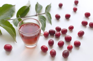 Kızılcık likörü. Cornelian kiraz veya Avrupa cornel da genellikle yabani kırmızı meyve ile bir çalı olduğunu. Aynı zamanda şifalı bitkilerden biridir..
