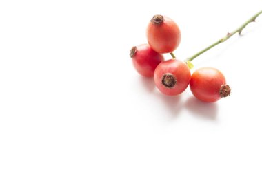 Beyaz masa arka plan üzerinde kırmızı gül-kalça ile Sonbahar kompozisyon. Sonbahar, Cadılar Bayramı ve Şükran Günü tasarımı.