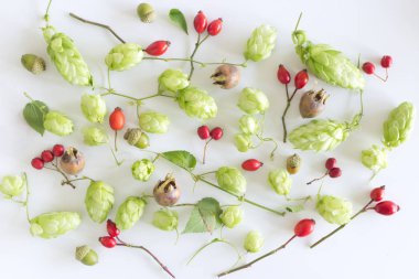 Sonbahar tarzı fotoğraf . Renkli sonbahar meyve ve yaprakları, sonbahar sezonu kavramı arka plan. Düz döşeme, üst görünüm.