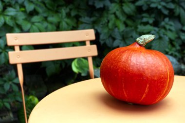 Sonbahar tarzı kompozisyon. Bahçede turuncu masada balkabağı. Cadılar Bayramı, Şükran Günü partisi konsepti. Şenlikli sonbahar tasarımı.