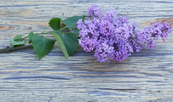スタイルの良いストックフォト 春の女性的なシーン 花の組成 美しい花紫色のライラックの枝の束 木製のテーブルの背景 自然概念 — ストック写真