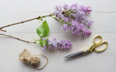 Çiçekçi işyeri. Güzel leylak, makas ve ip beyaz ahşap bir masa üzerinde. Doğa konsepti.