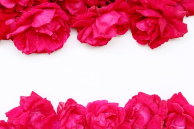 Tarzlı stok fotoğrafı. Bahar kadınsı sahnesi, çiçek kompozisyonu. Dekoratif pankart, güzel kırmızı güllerden yapılmış bir köşe. Beyaz masa arka planı. Düz yerde, üst tarafta. Çiçek konsepti.