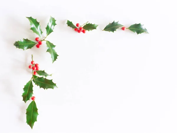 Kerst stijl compositie, decoratief frame, banner. Holly boom groene bladeren, rode bessen, takken en groene spar geïsoleerd op witte tafel achtergrond. Vlakke lay, bovenaanzicht. Winter botanische patroon. Rechtenvrije Stockfoto's