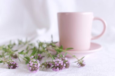 Mor küçük Thymus pulegioides, beyaz arka planda limon kekiği olarak bilinir. Thymus pulegioides, çiçek açan bir bitki türüdür. Şifalı bitki. Sağlıklı beslenme kavramı. Bulanık