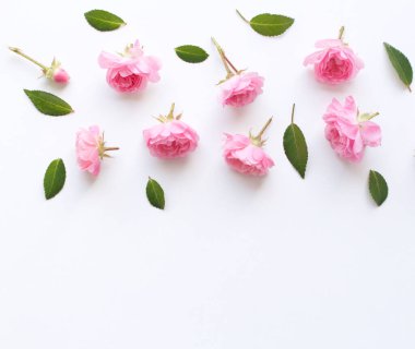 Beyaz arka planda pembe güllerden oluşan çiçek deseni. Düz yerde, üst tarafta. Sevgililer Günü geçmişi. Çiçek deseni. Çiçeklerin tasarımı. Çiçek desenleri. Çiçek desenleri..