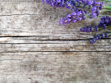 düğün kartı Eflatun için arka plan