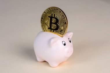  Altın bitcoin sikke kumbara - Kripto para birimi sembolü olarak. Bankacılık web ve uluslararası ağ ödeme için elektronik sanal para kavramı.