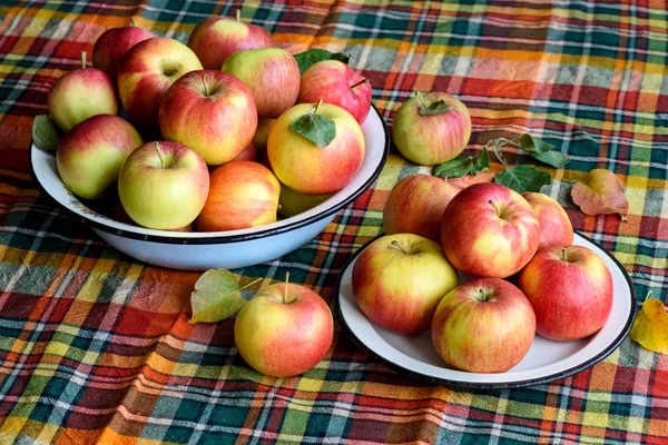 Yellow Red Apples Dish Table Checkered Tablecloth — Stock Photo, Image
