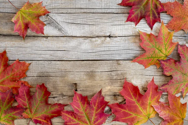 Красные Осенние Листья Сером Грубом Деревянном Фоне — стоковое фото