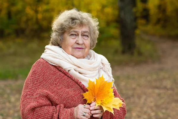 Portrait Lonely Old Woman Park Fall Aging Process Thoughtful Mood — Stock Photo, Image