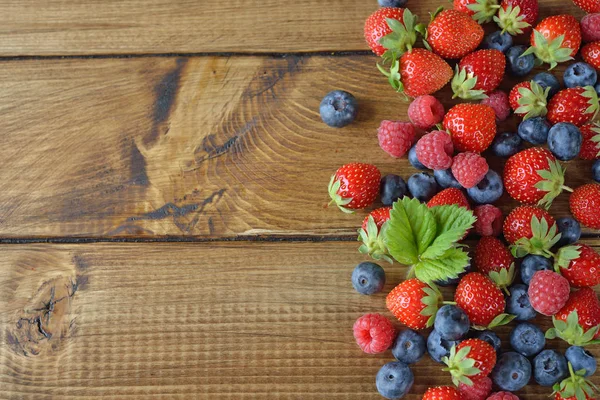 Berries hutan organik — Stok Foto