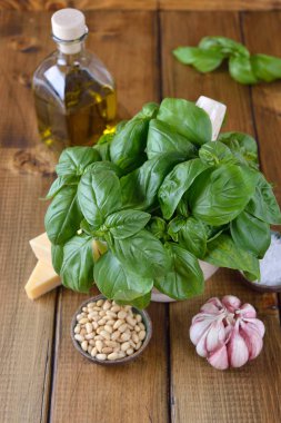 Pesto sosu için taze malzemeler