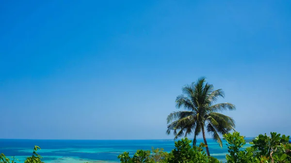 Palm Tree Blue Sea Background View Mountain Love Karimun Jawa — Stock Photo, Image