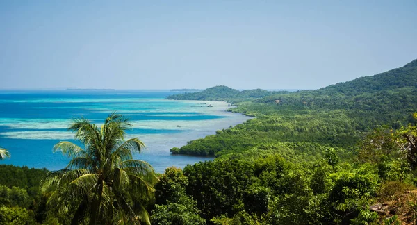 sea forest aerial view with green forest and blue sea with turquoise and green palm in bukit love karimun jawa indonesia