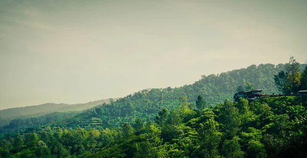 Домик Посреди Холма Вершине Горы Пунчак Богор — стоковое фото