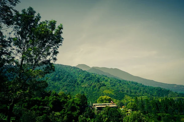 house with indonesia flag on middle of green forest mountain in puncak bogor indonesia