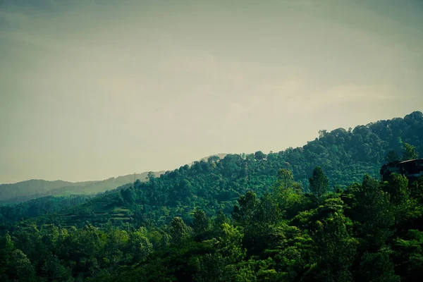 Зеленые Горы Леса Облачным Небом Туман Тропической Области Puncak Bogor — стоковое фото