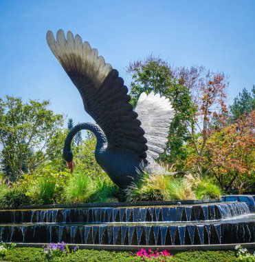 büyük siyah kuğu heykeli yeşil orman ve mavi gökyüzü ve su akışı - çim üzerinde fotoğraf
