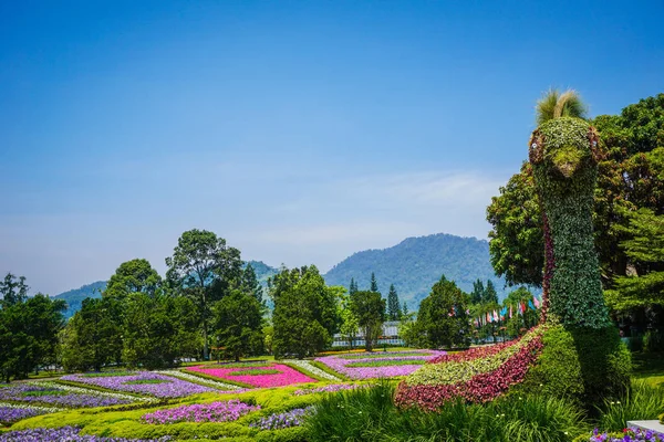 arka plan olarak - fotoğraf Endonezya yeşil çim ve bitki çiçek bahçesi Parkı ile yapılmış bir tavus kuşu büyük heykel