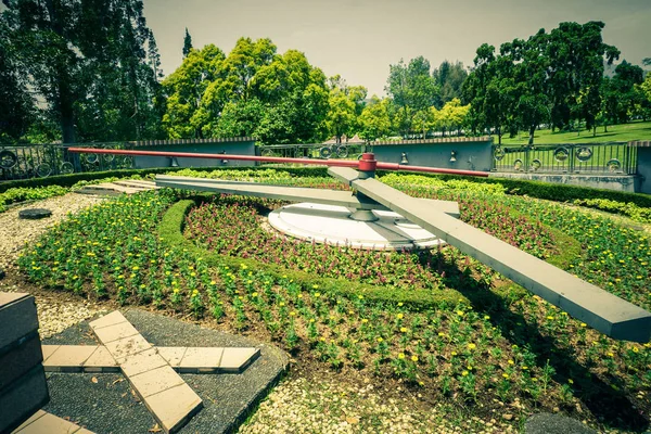 Clock Park Land Soil Green Grass Tree Background Taman Bunga — Φωτογραφία Αρχείου