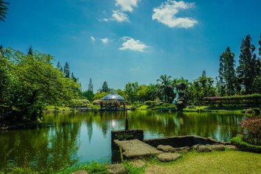 mavi gökyüzü - fotoğraf Endonezya yan daireyle orman ağacı ile büyük göl